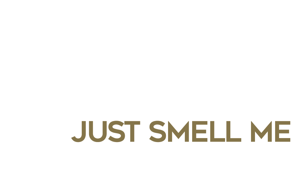 JSM Λογότυπο Just Smell Me